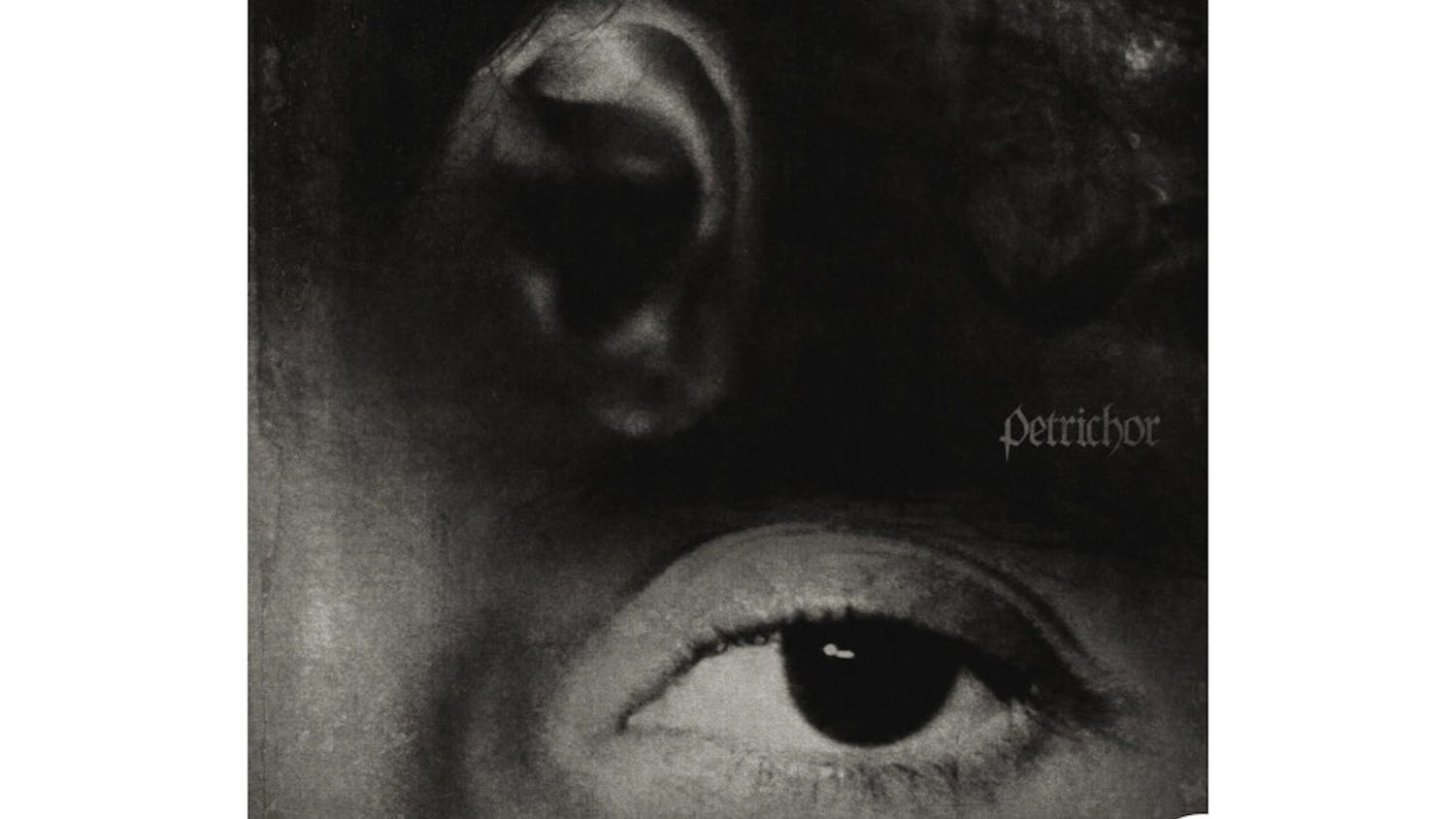 PETRICHORDIGITALALBUM-ImlVKP-scaled