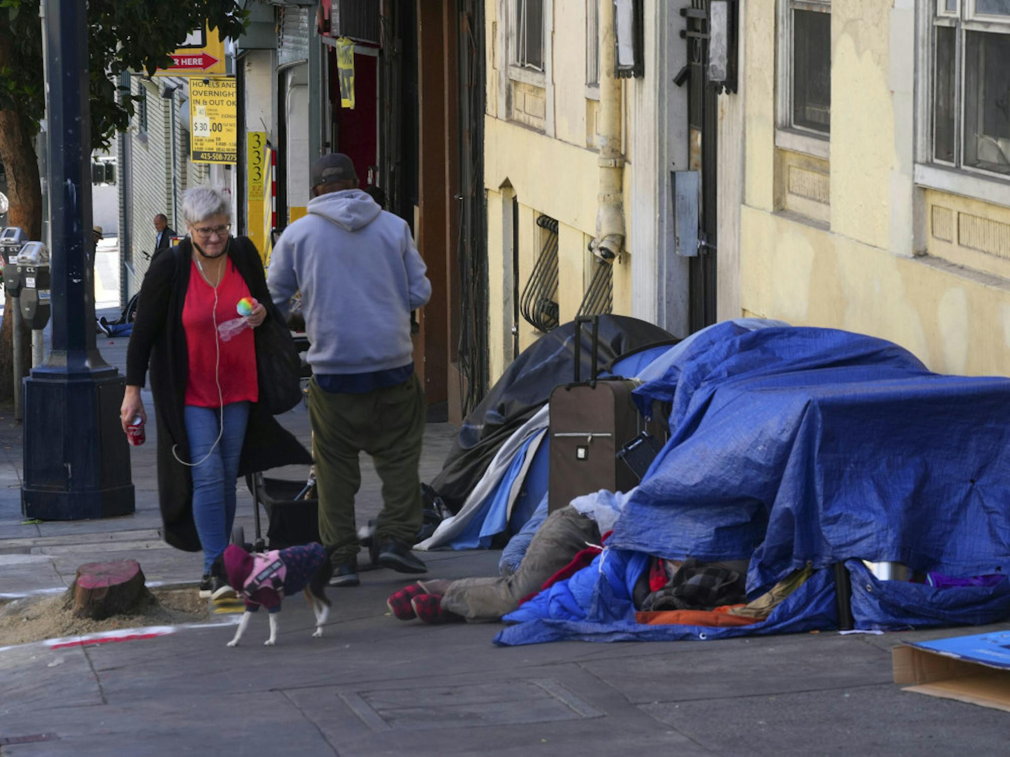 CALIF-PRIMARY-4-scaled