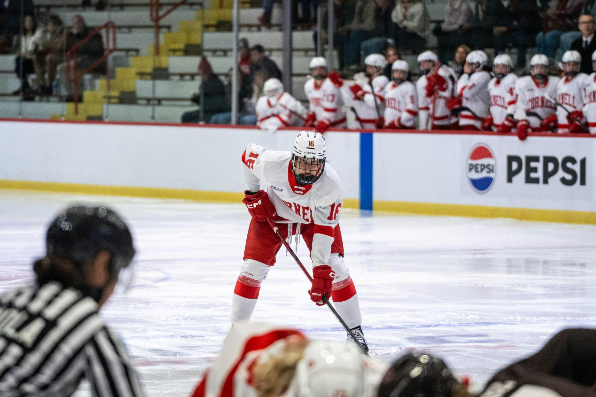 Big Red Womens hockey VS-01.jpg