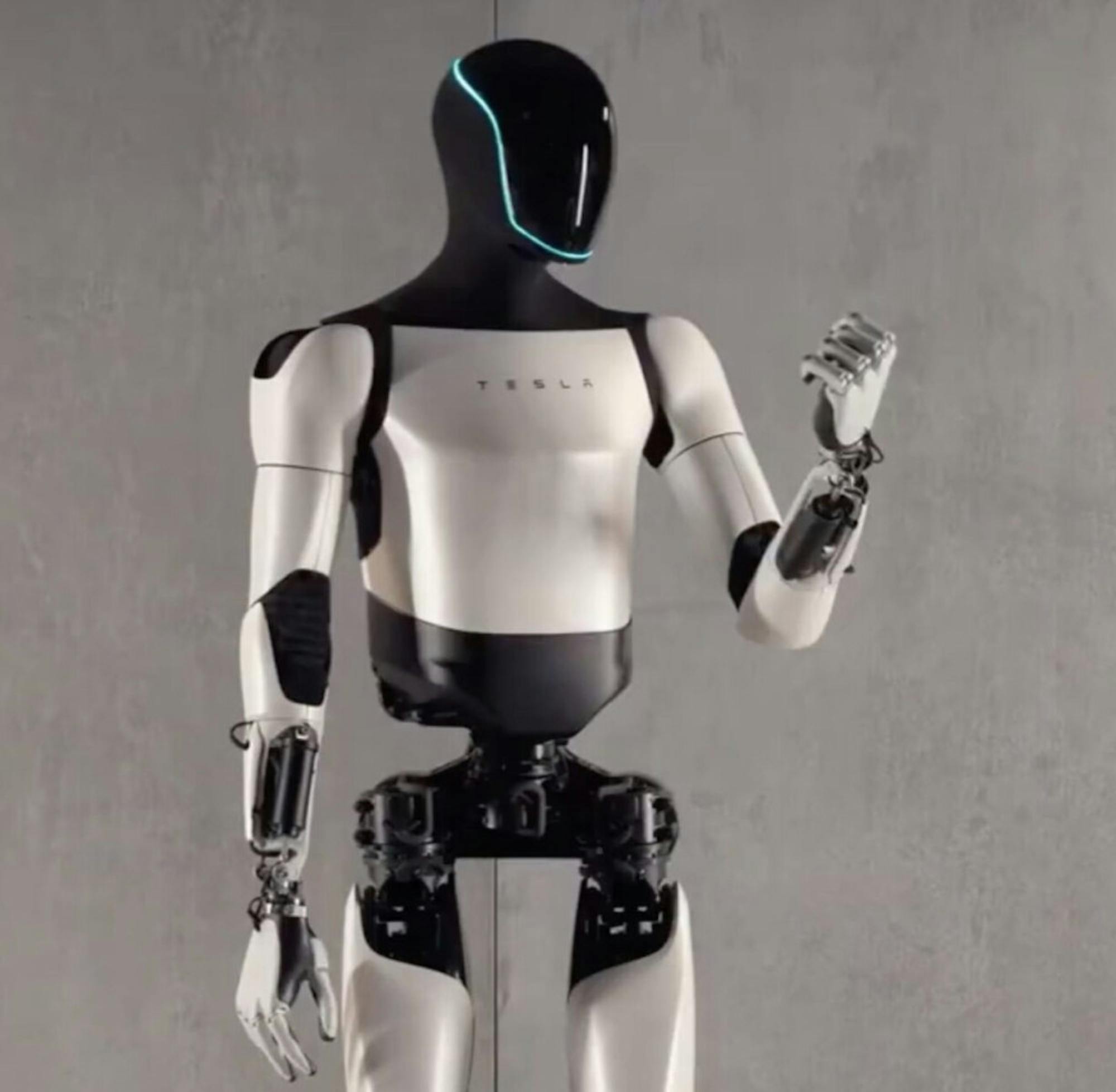tesla-bot