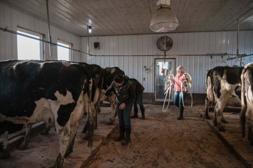 Pg-8-Science-Milk-Production-by-Tristan-Spinski-scaled