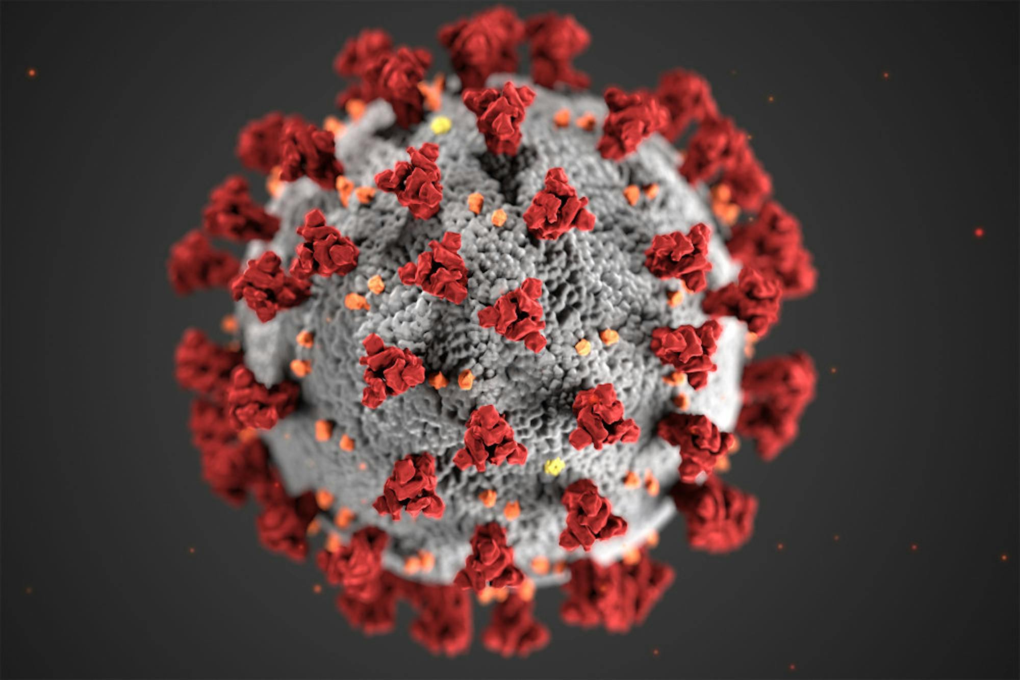 COVID-Virus-Courtesy-of-the-Centers-for-Disease-Control