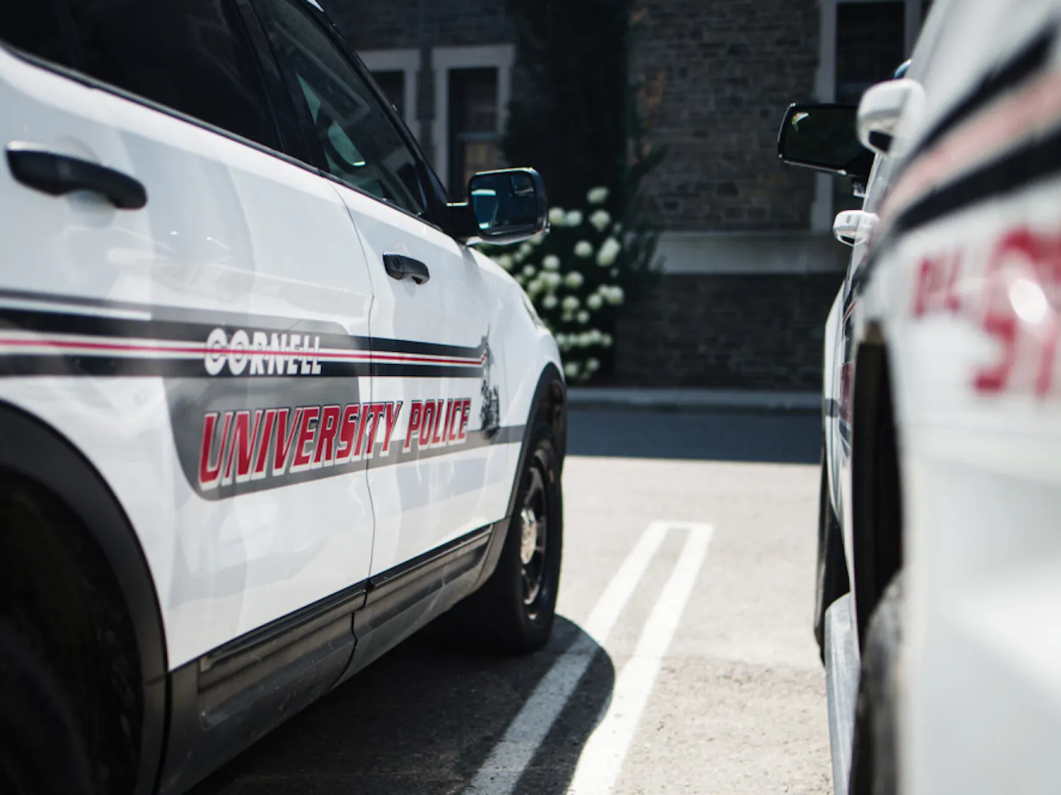 Pg-1-CUPD-by-Cameron-Pollack