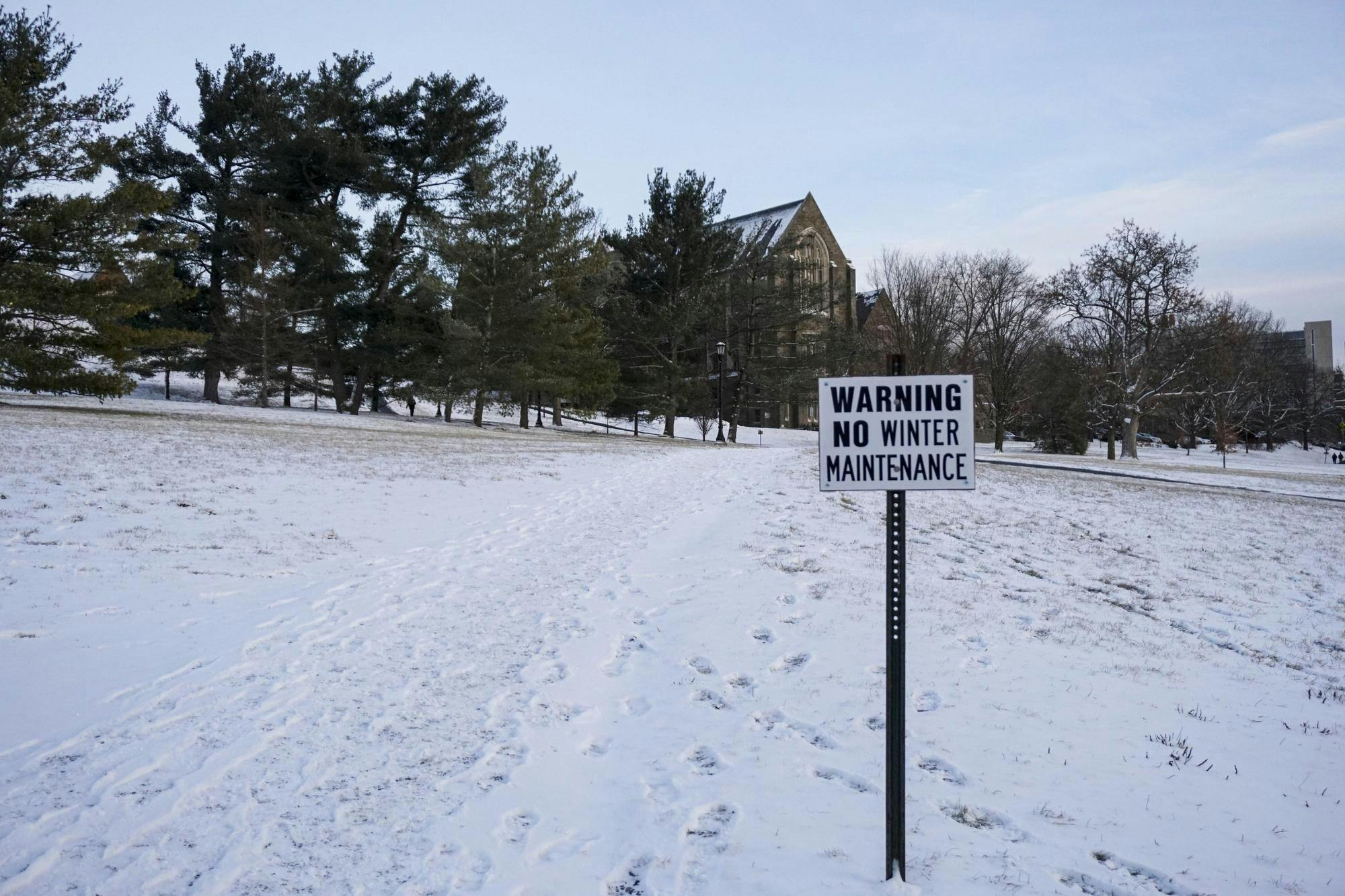 Winter Candids January 2026 by Sophia Romanov Imber-11.jpg