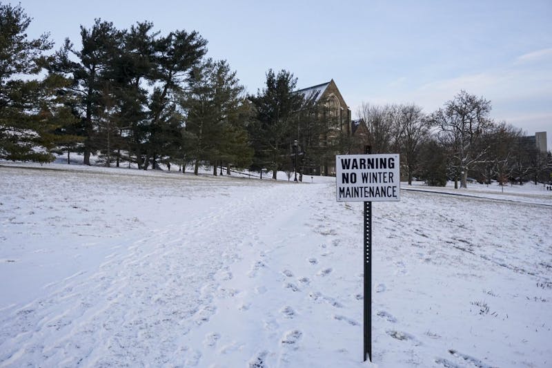 Snowed In! The Best Films for Freezing Days