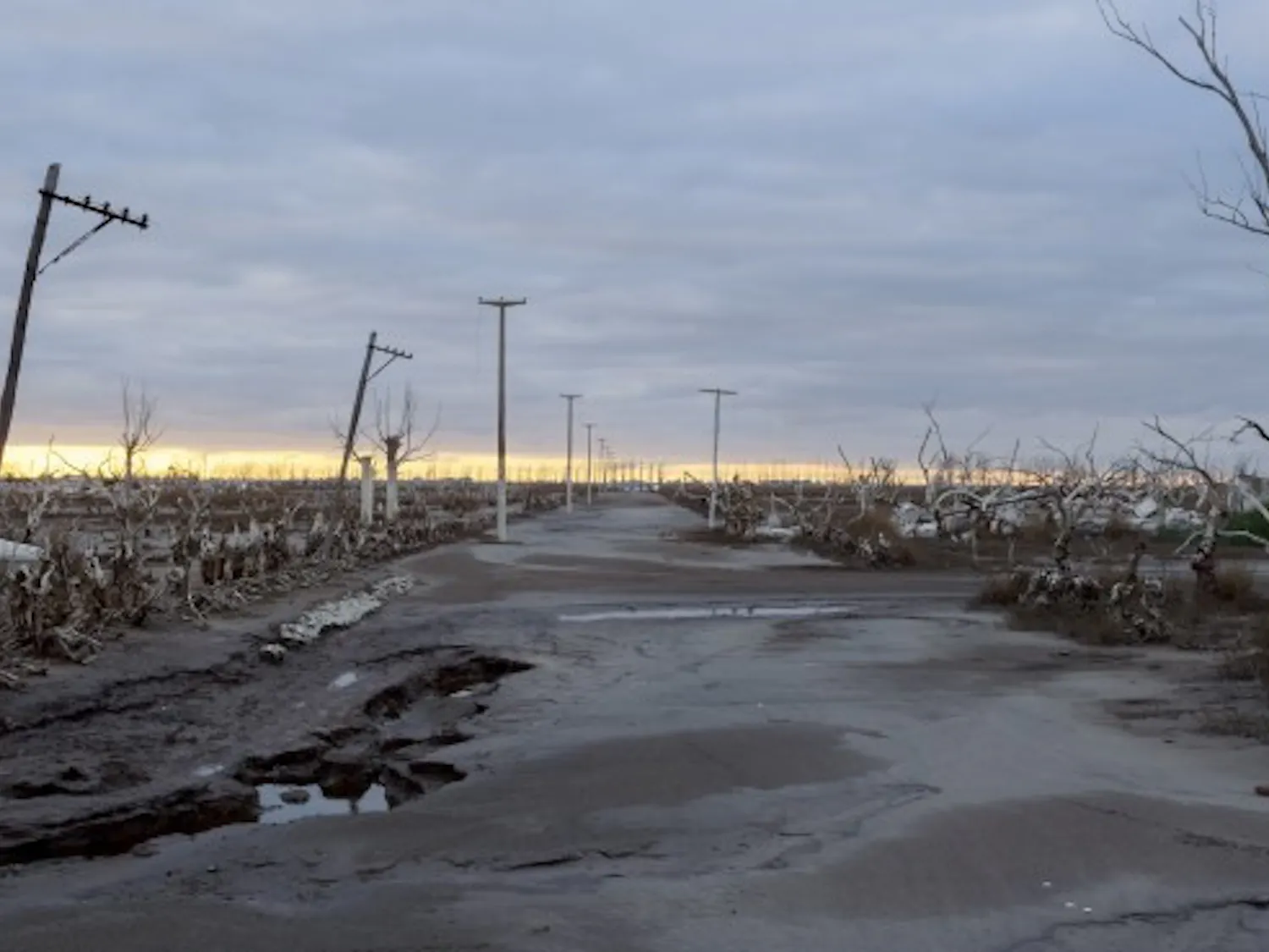 201614300_1_IMG_FIX_700x700