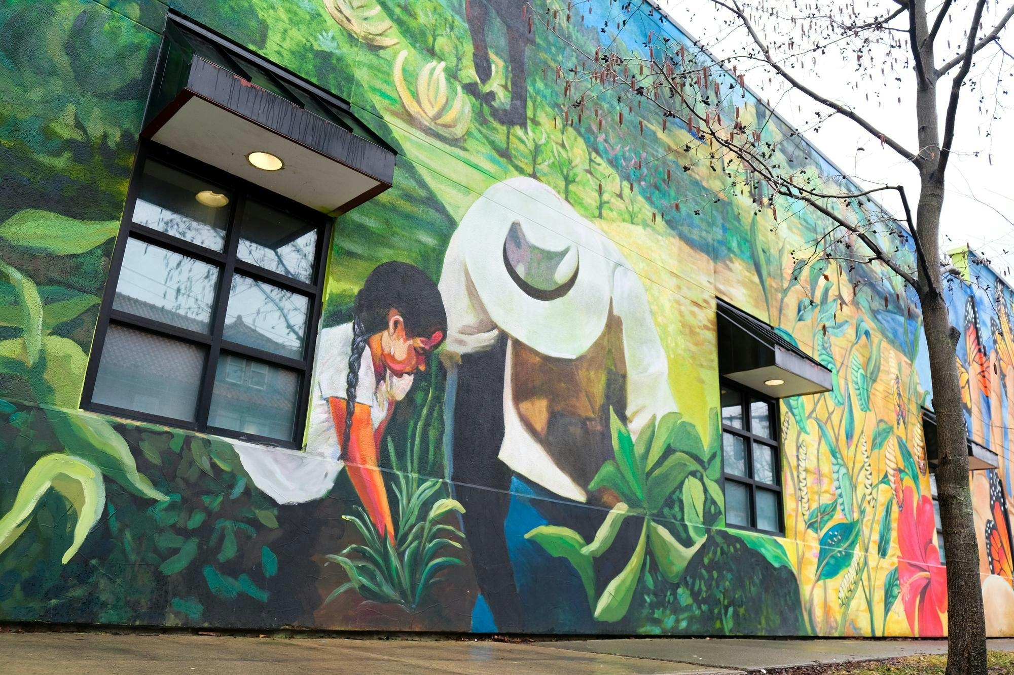 6 sunbursts 2:23.JPG