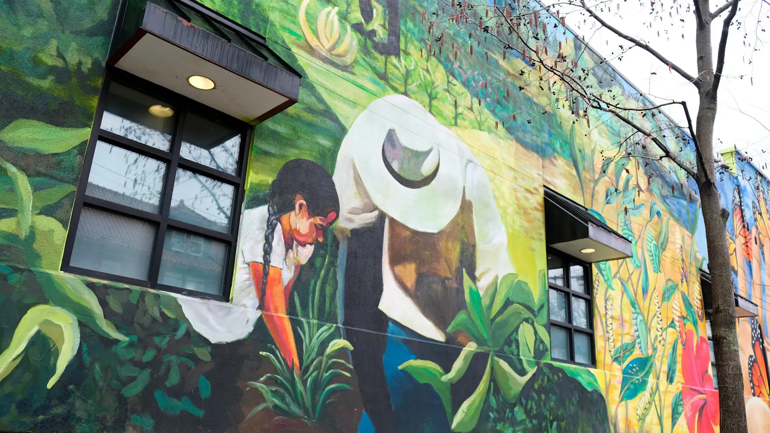 6 sunbursts 2:23.JPG