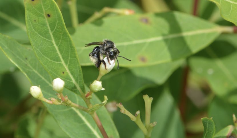 Screen-Shot-2022-09-06-at-10.30.22-AM