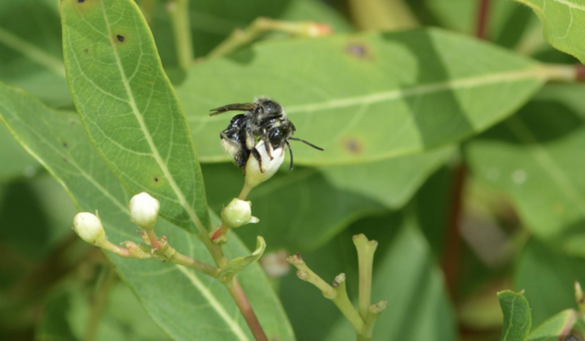 Screen-Shot-2022-09-06-at-10.30.22-AM