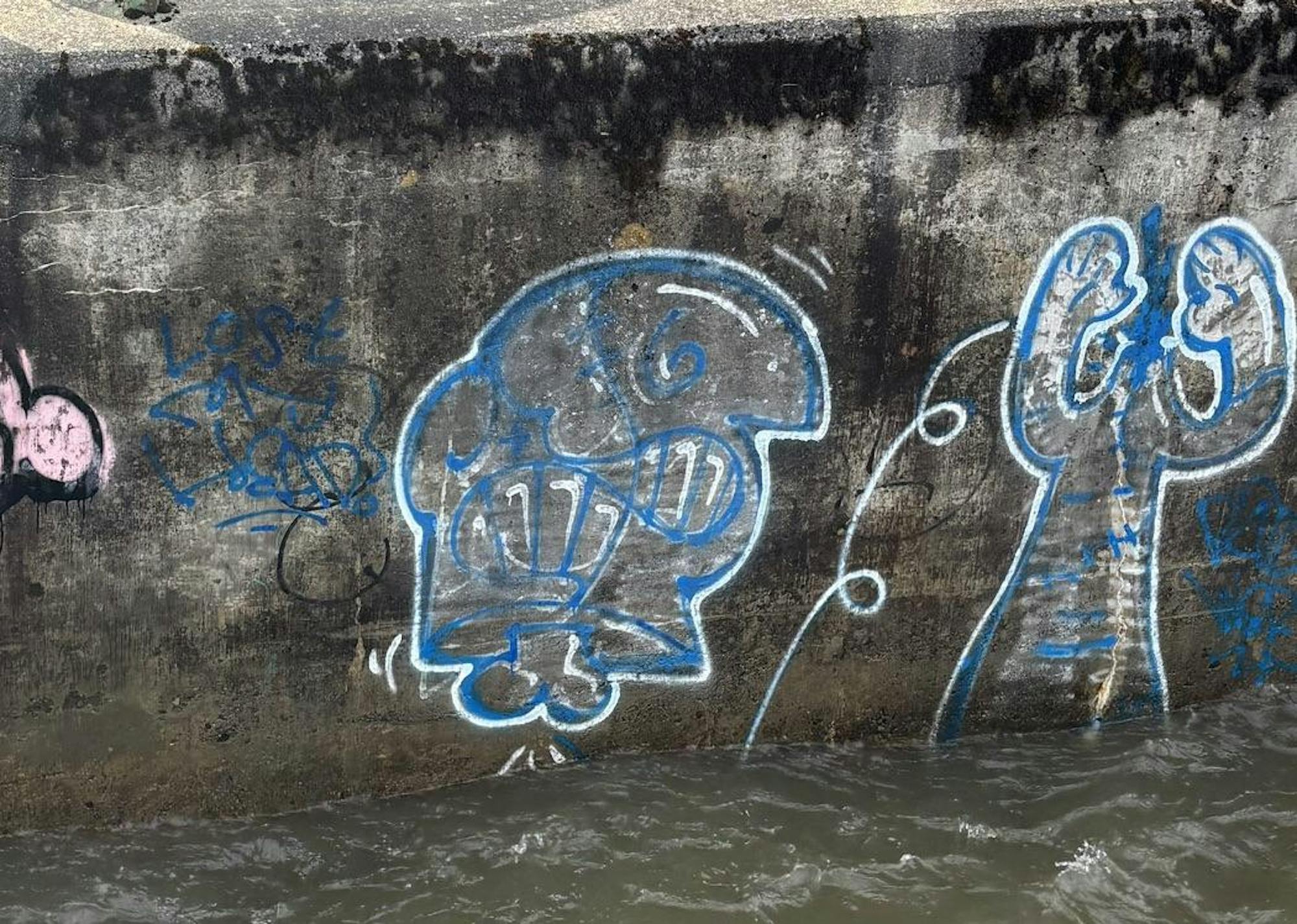 Photo of blue tag above the water on cement wall.jpeg