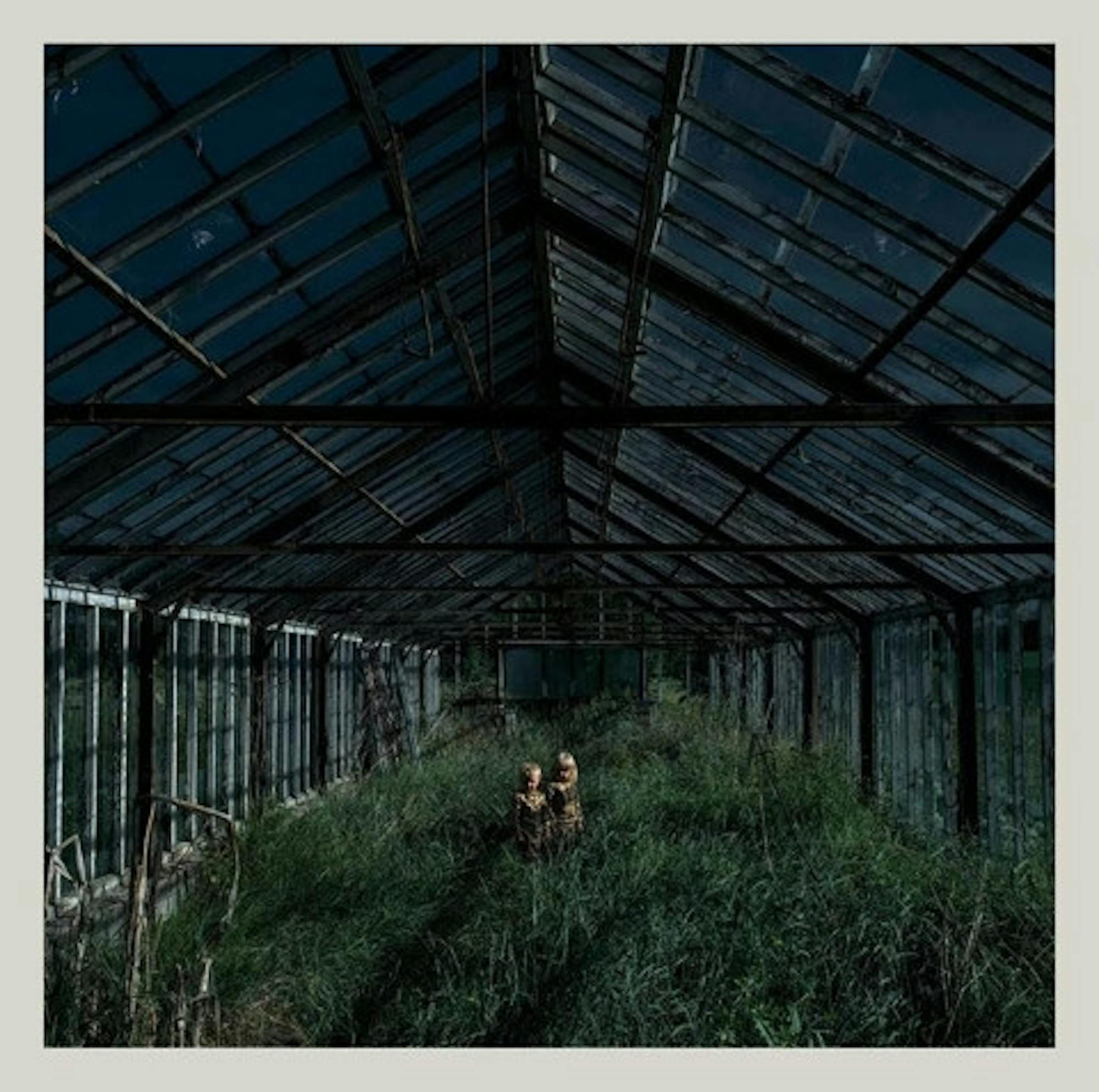 foxing-dealer
