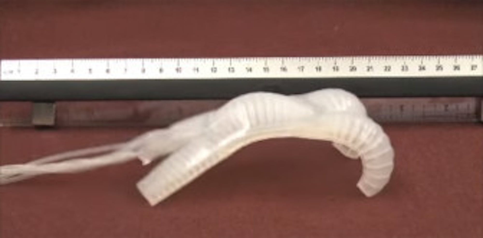 A small soft robot crawling on a tabletop.