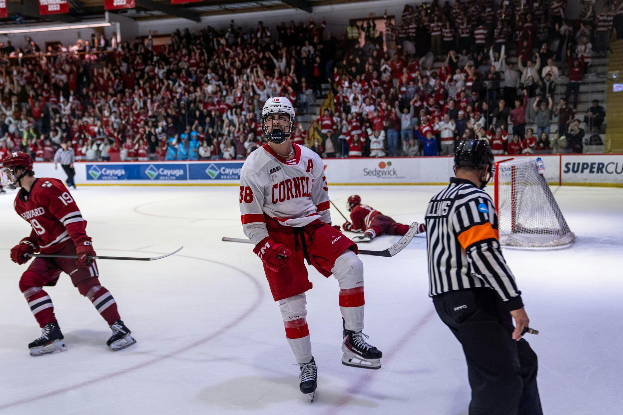 ECAC quarters v Harvard day 3-11.jpg