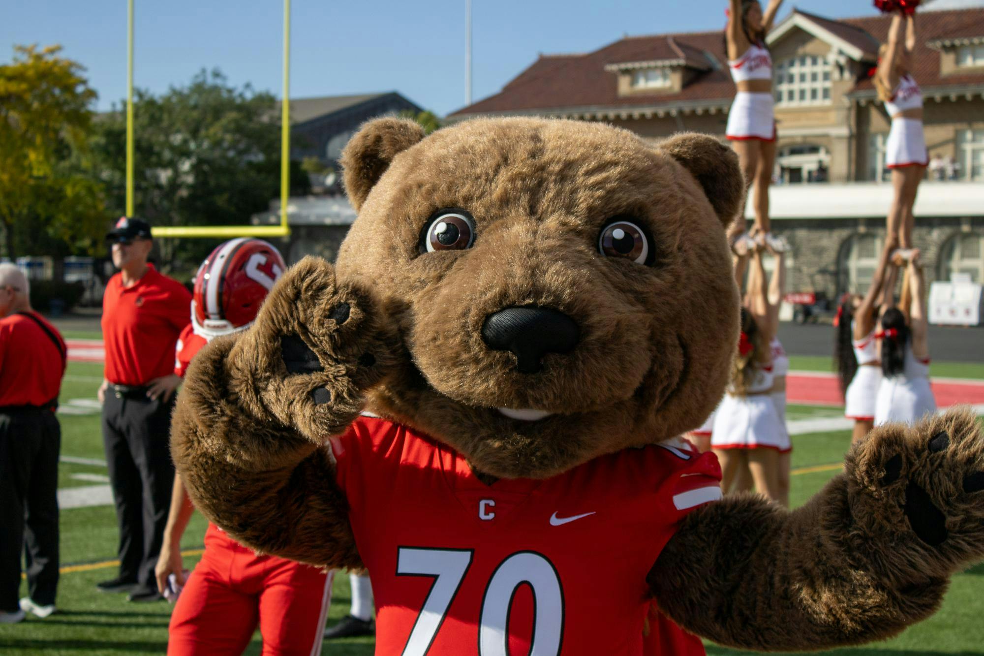 Touchdown the Bear.jpg