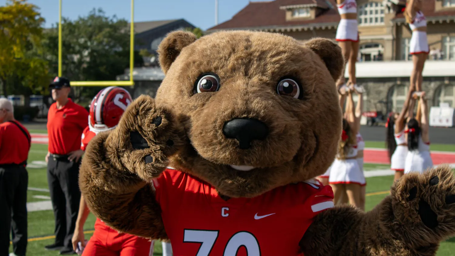 Touchdown the Bear.jpg