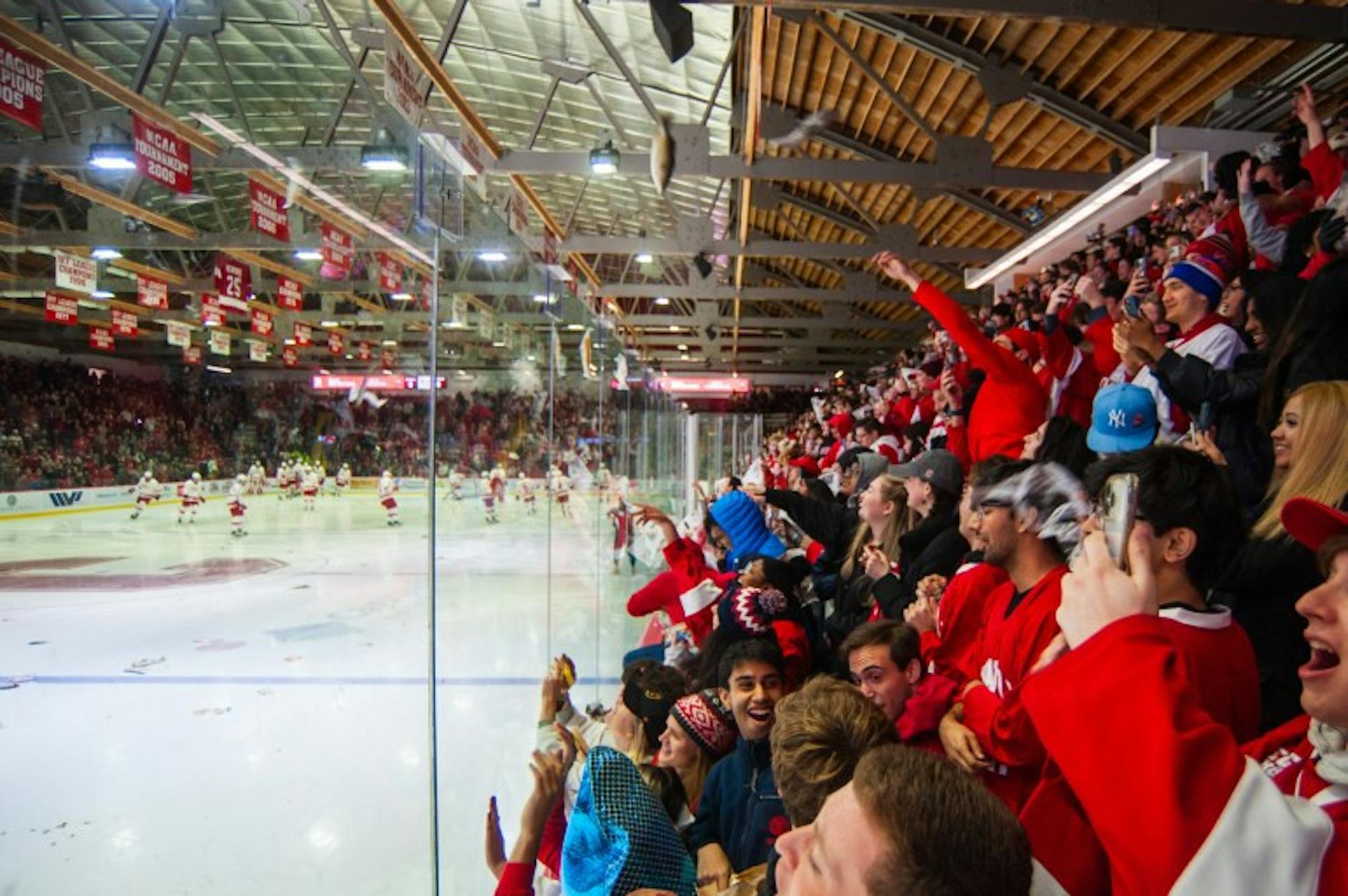 SUNBURSTS | Big Red Hockey - The Cornell Daily Sun