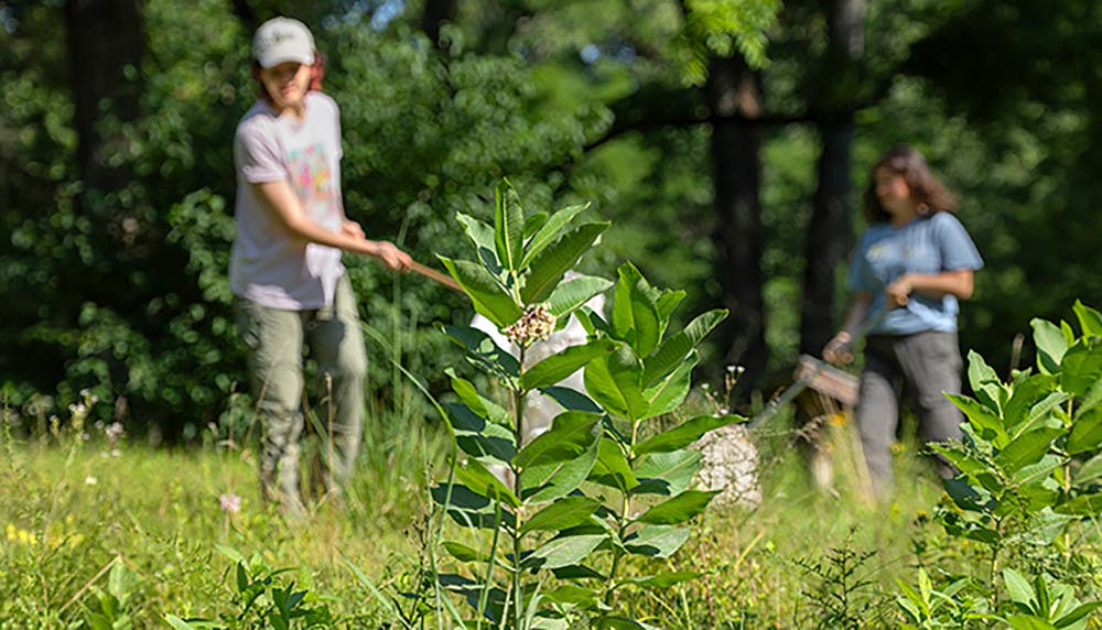 PG-8-SCIENCE-2-of-2-courtesy-Cornell