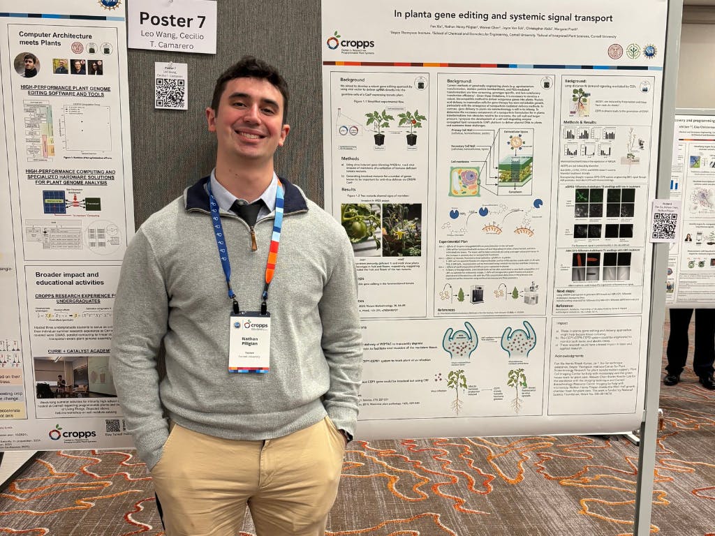 Cornell Ph.D. Student Develops Novel Method of Gene Delivery in Plants