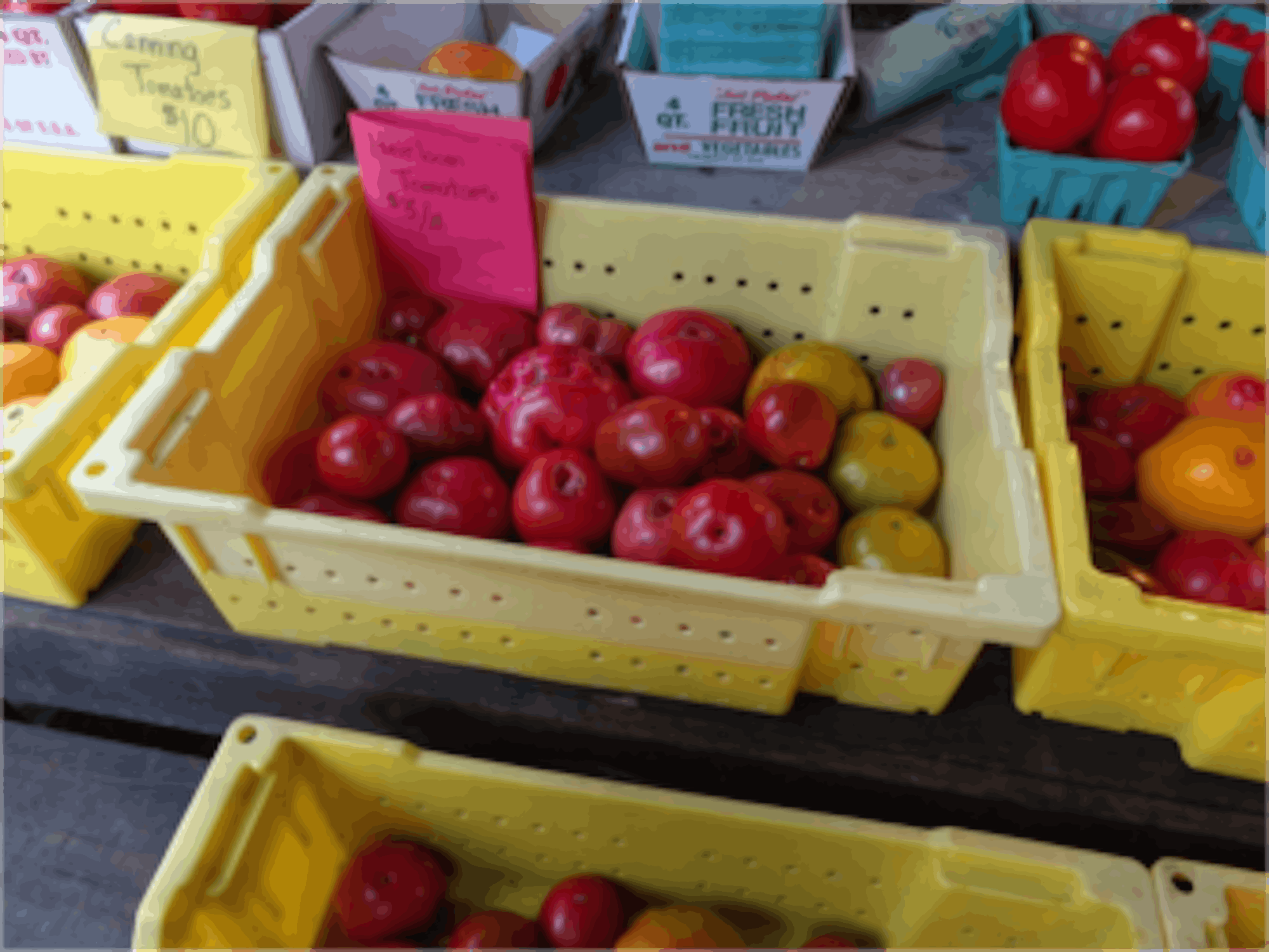 Qijia Yu / Sun Staff Writer