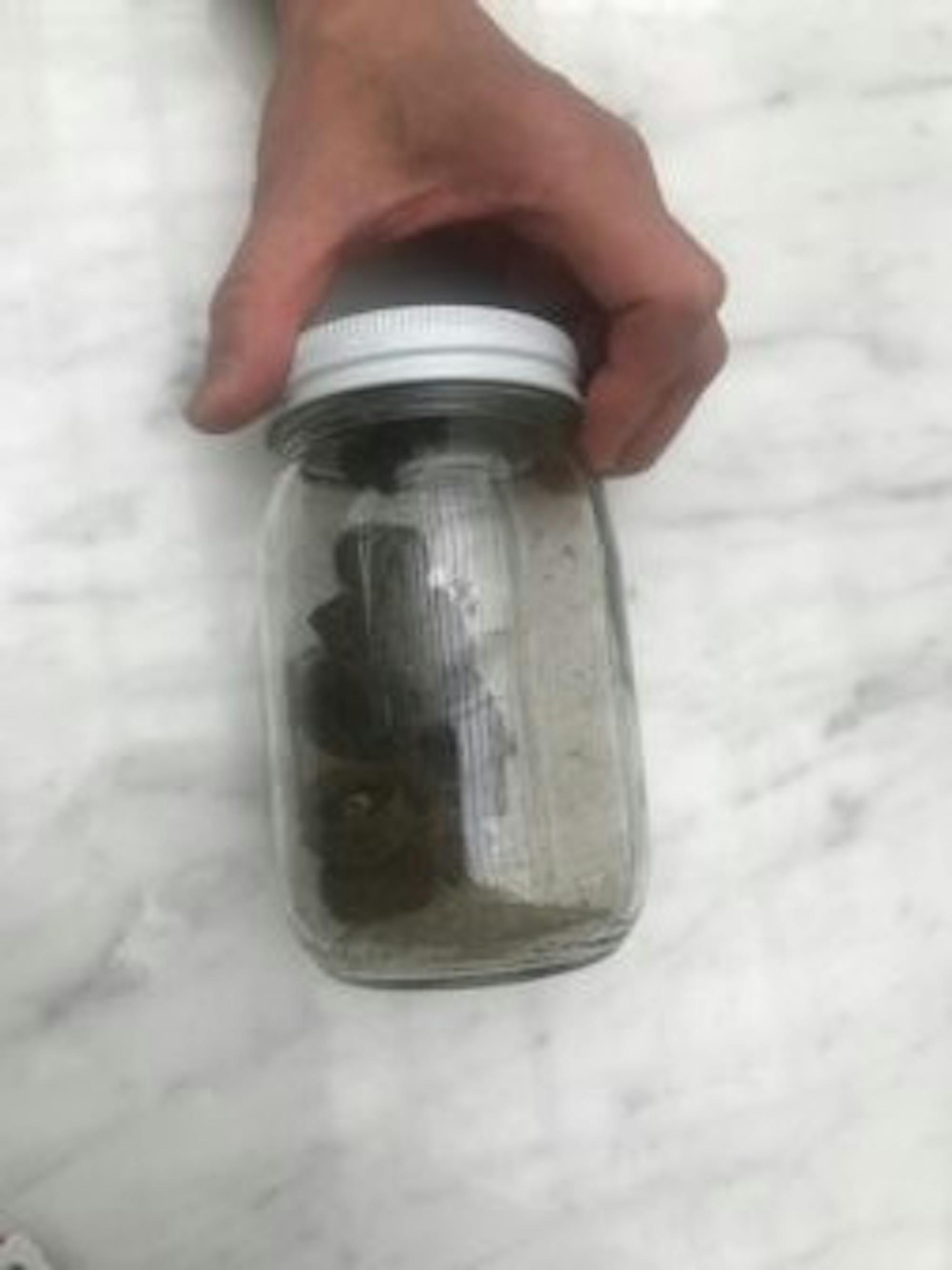 Lead contamination taken from the Fall Creek site.