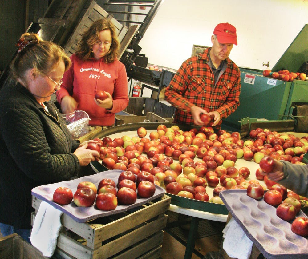 Pg-1-Cornell-Orchards-Processing-Apples-by-Matt-Hintsa-File