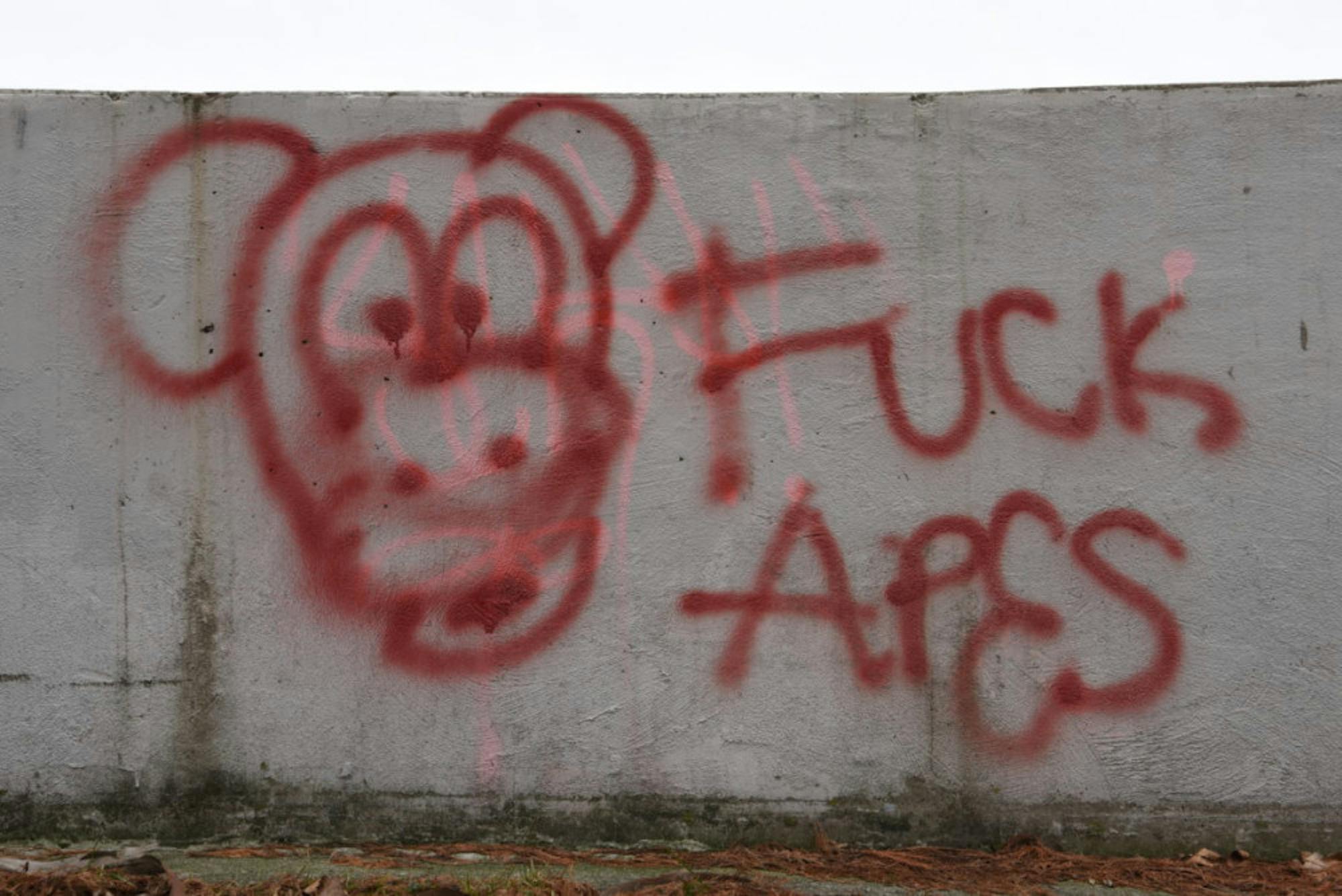 One skater said at least some of the graffiti had been there in recent days and said the epithets are not indicative of the park's atmosphere.