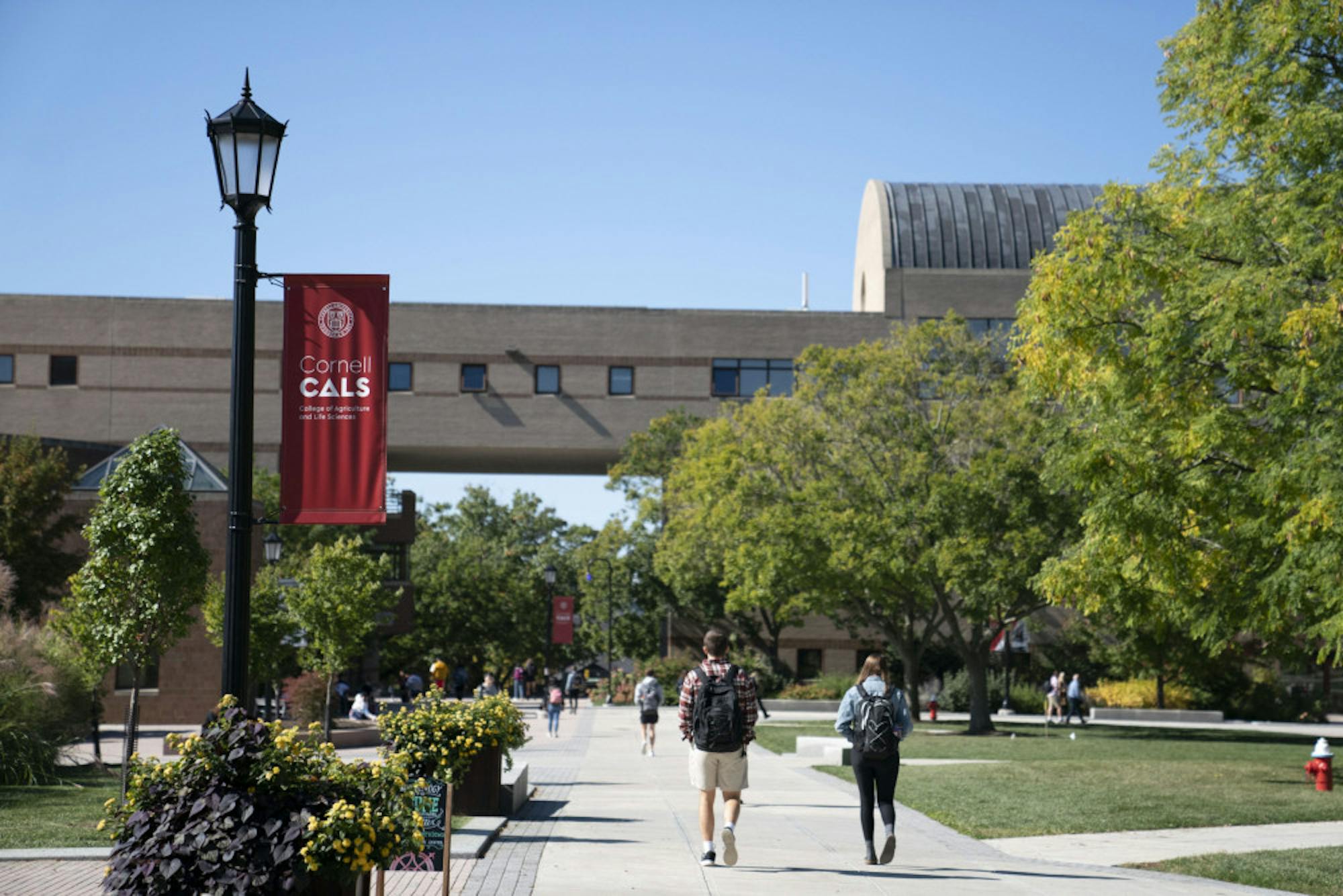 Ag-Quad-Ben-Parker-1-scaled