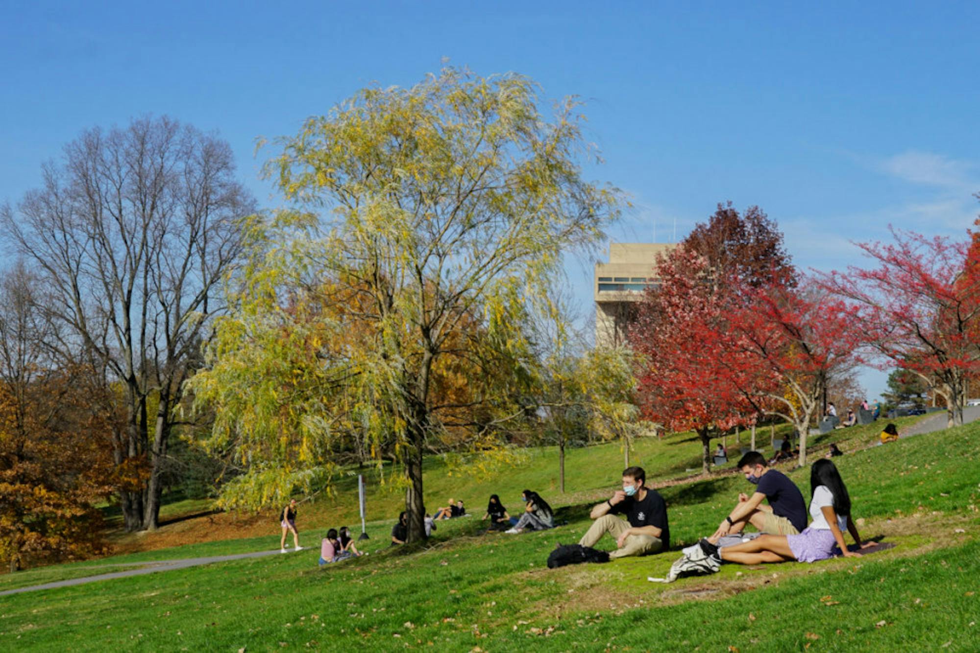 Students sitting on Libe Slope, basking in the autumn sun and a Biden-Harris win.
