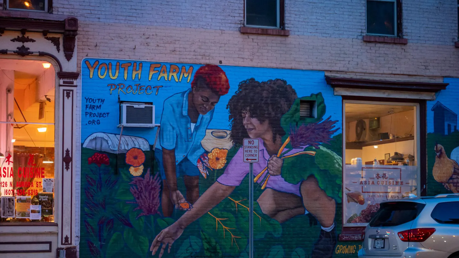 7 sunbursts 2:23.jpg