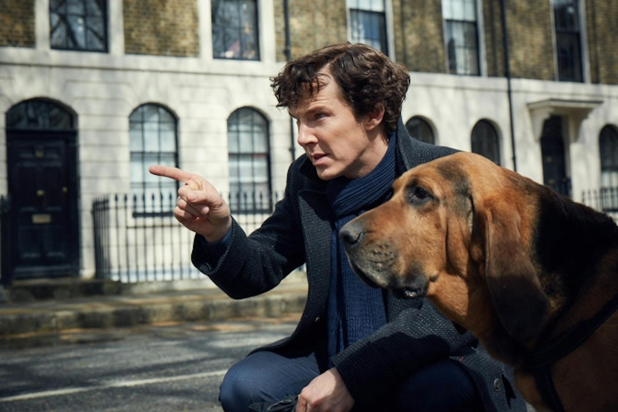 sherlock-dog