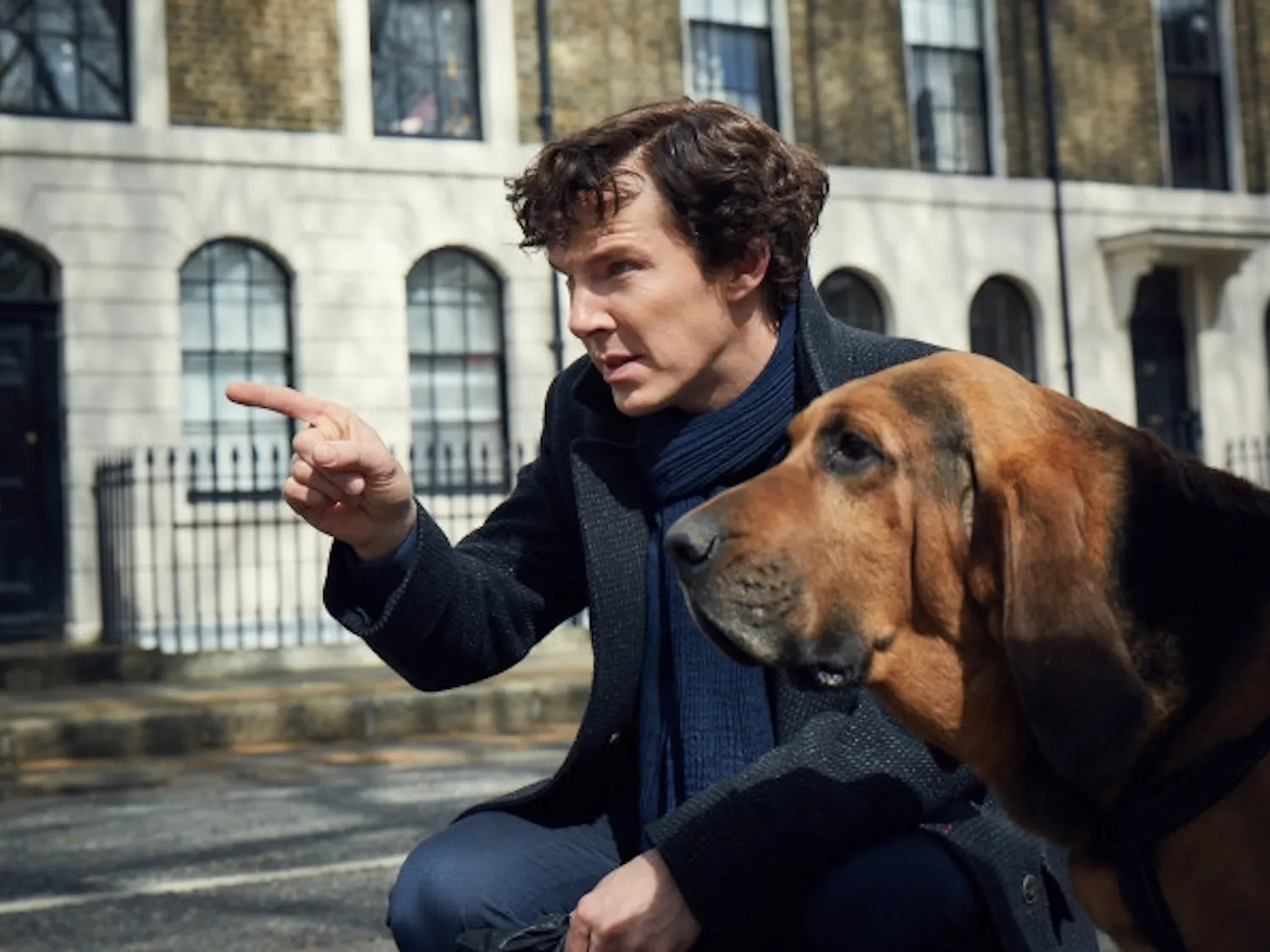 sherlock-dog
