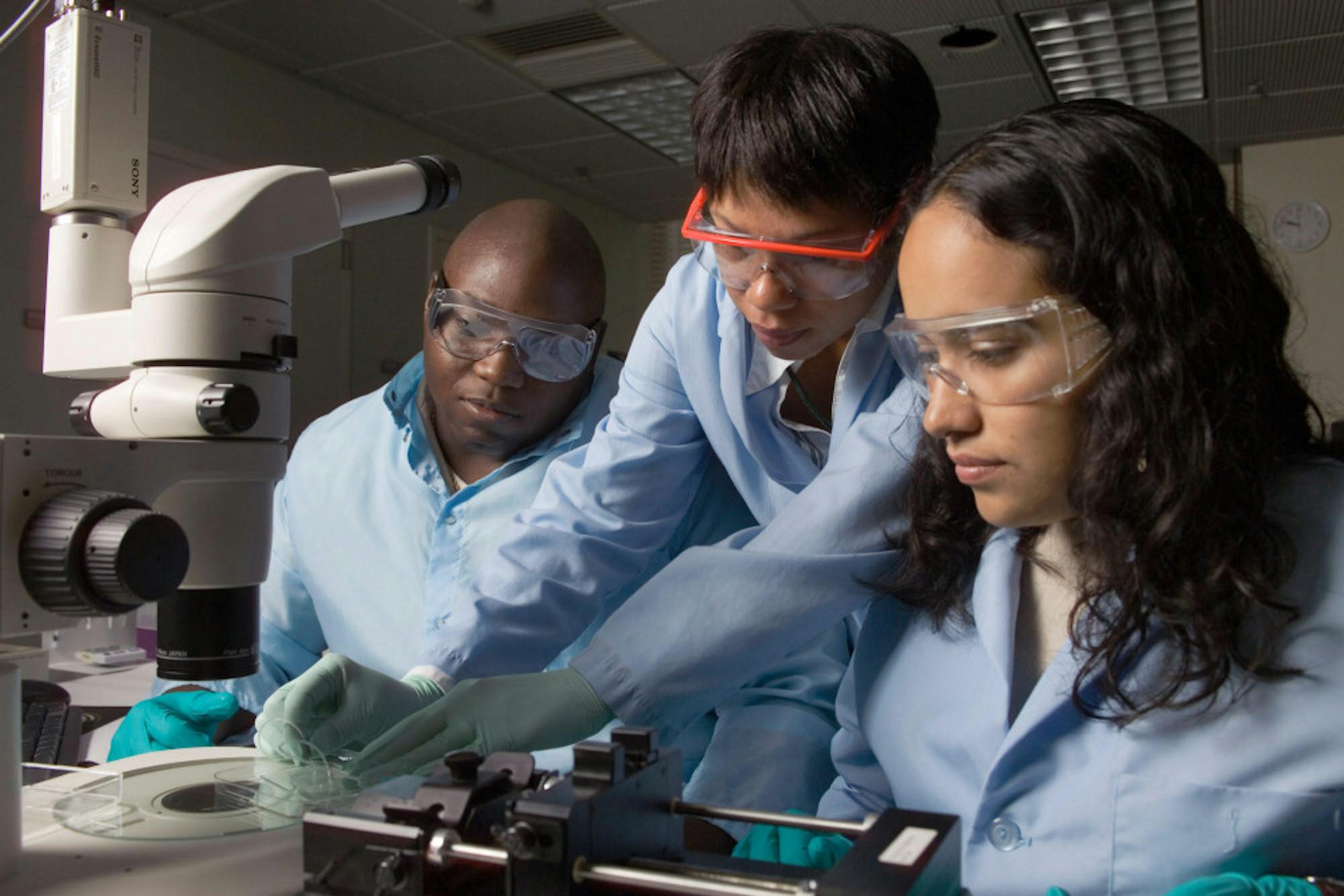 Pg-8-I-Corps-Courtesy-of-Cornell-University