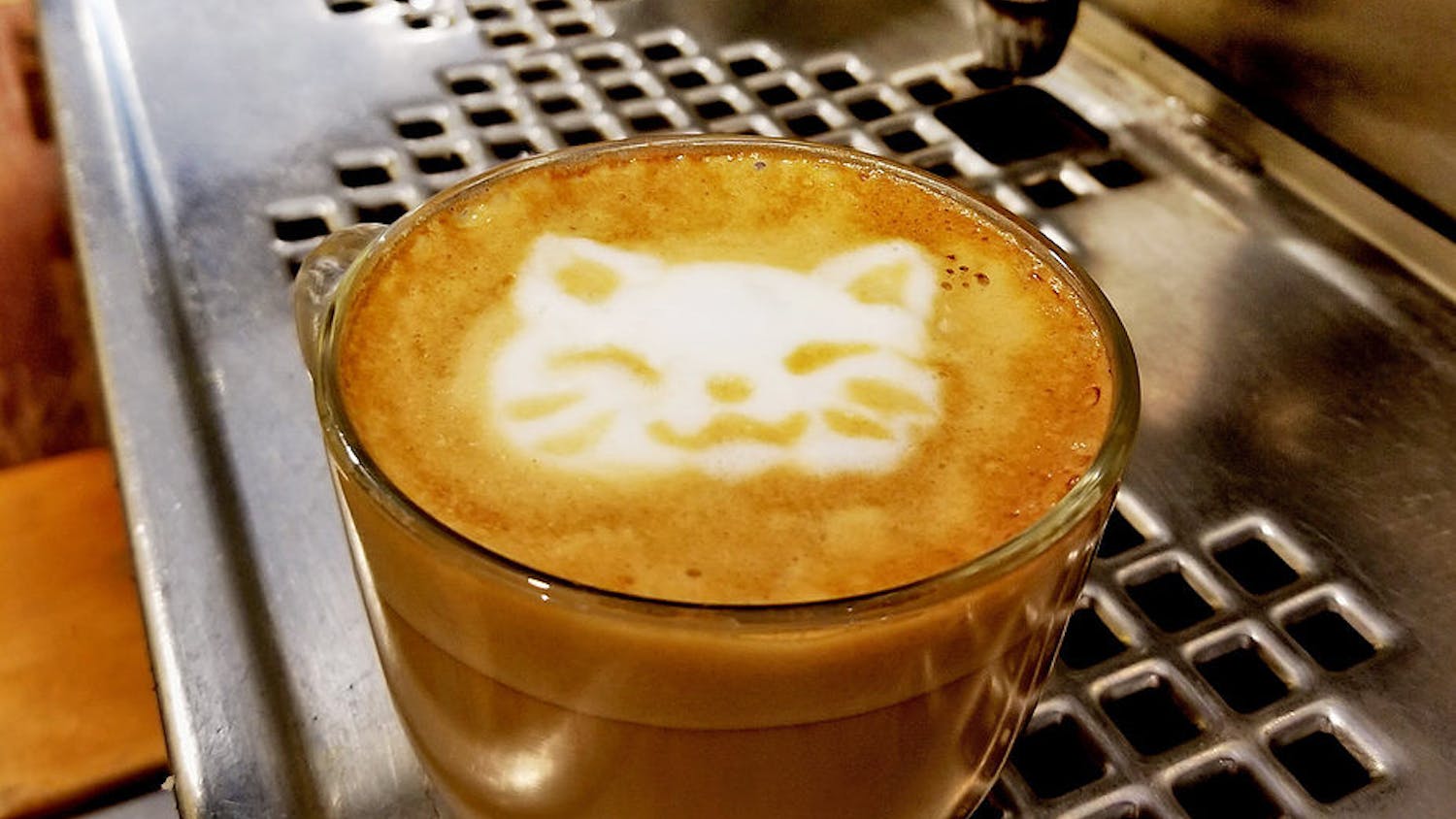 Pg-1-Cat-from-AlleyCatCafe-e1575523589333