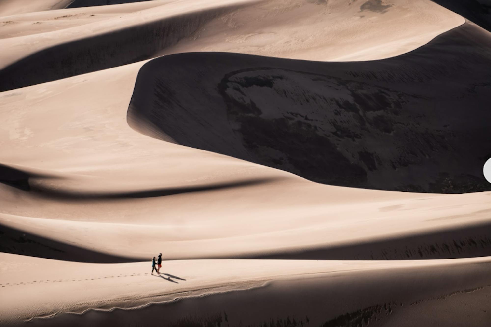 Screen-Shot-2017-03-29-at-4.55.42-PM