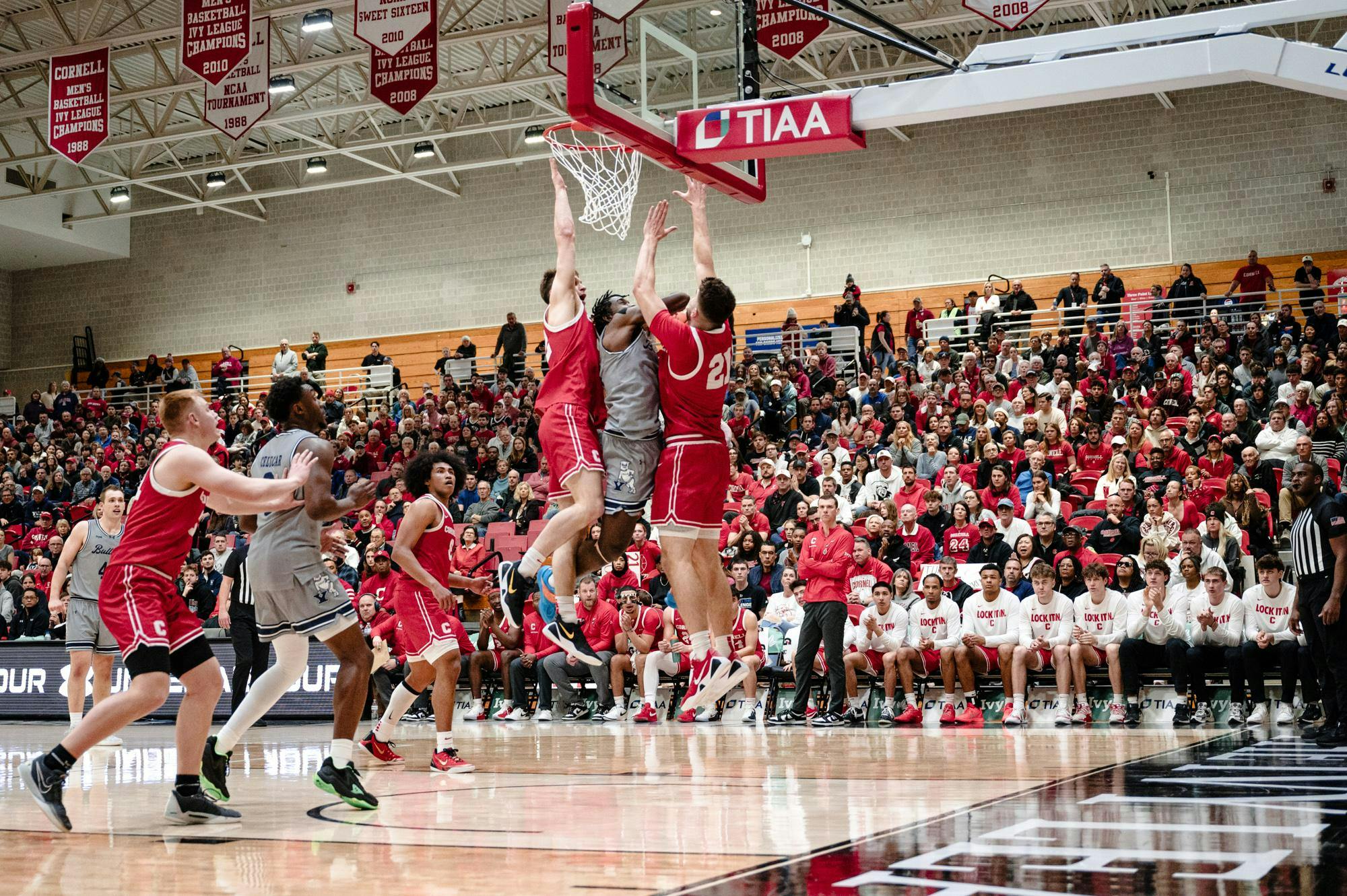 ivy madness 2026.3.jpg