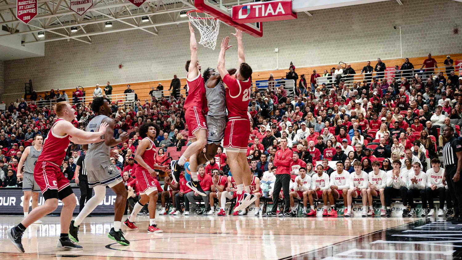 ivy madness 2026.3.jpg