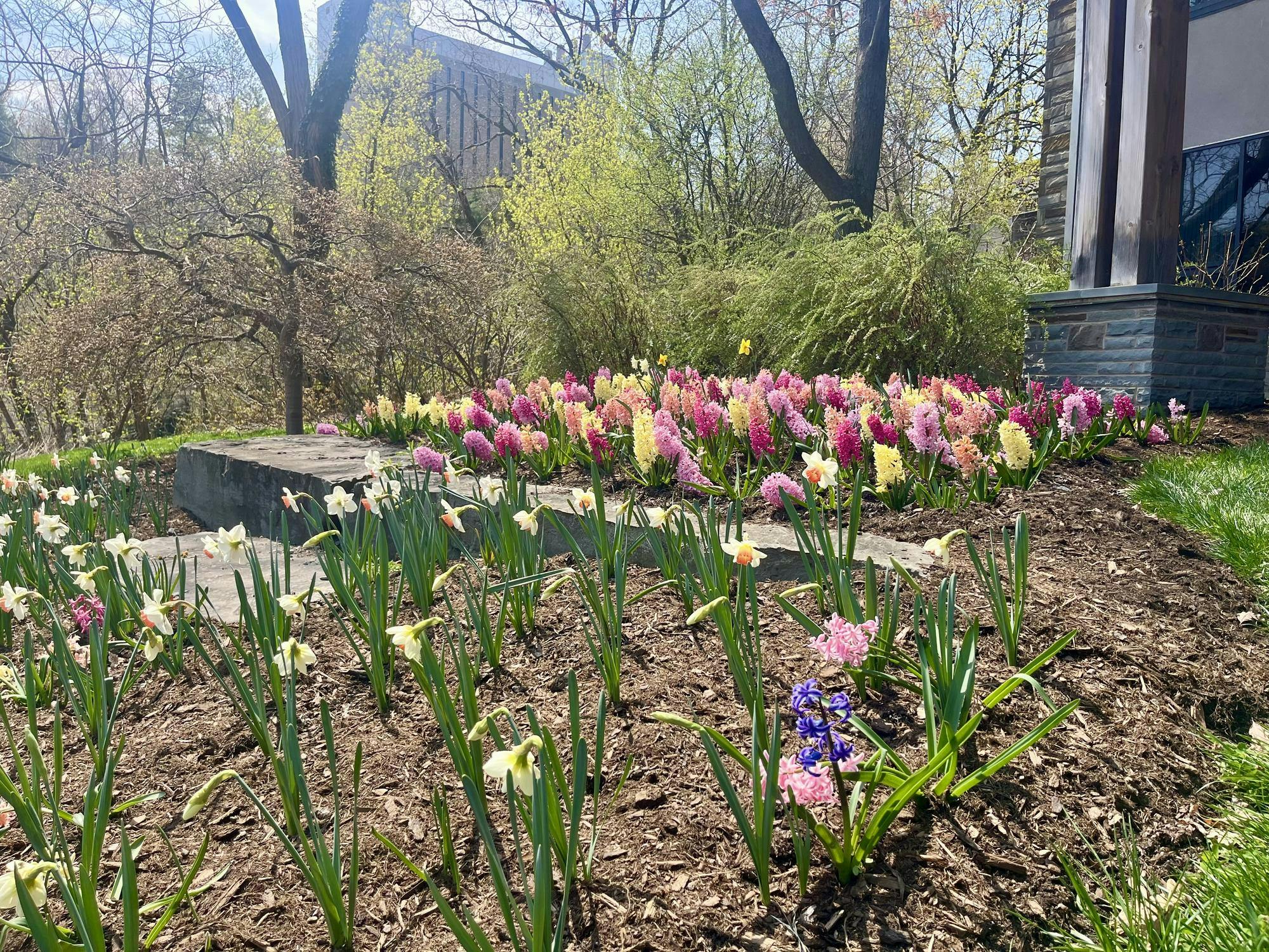 image for article (1).jpeg