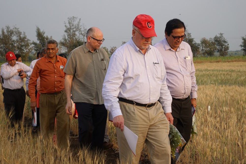 Pg-1-Global-Office-2