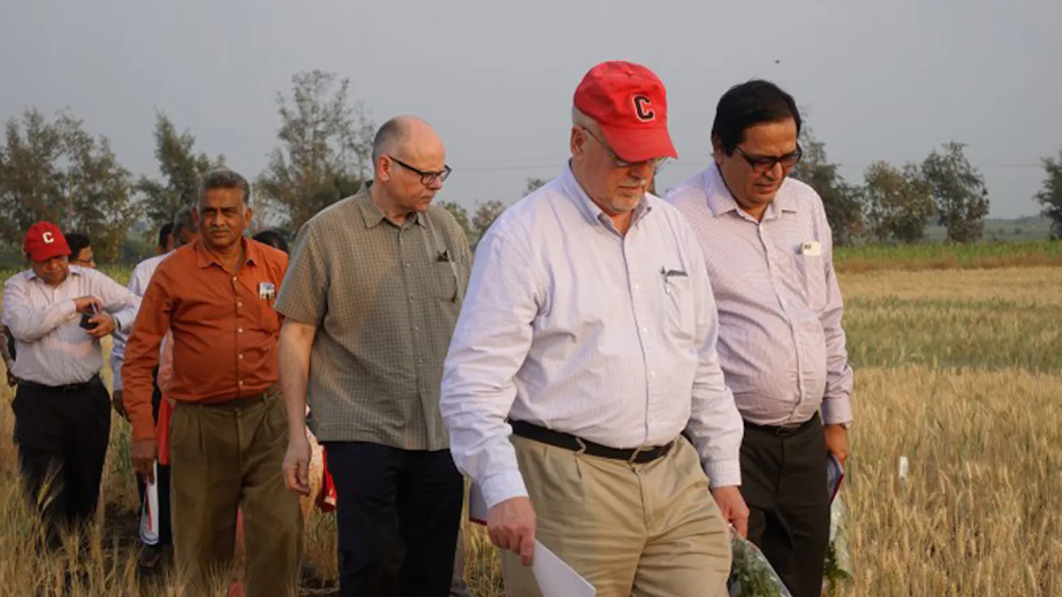 Pg-1-Global-Office-2