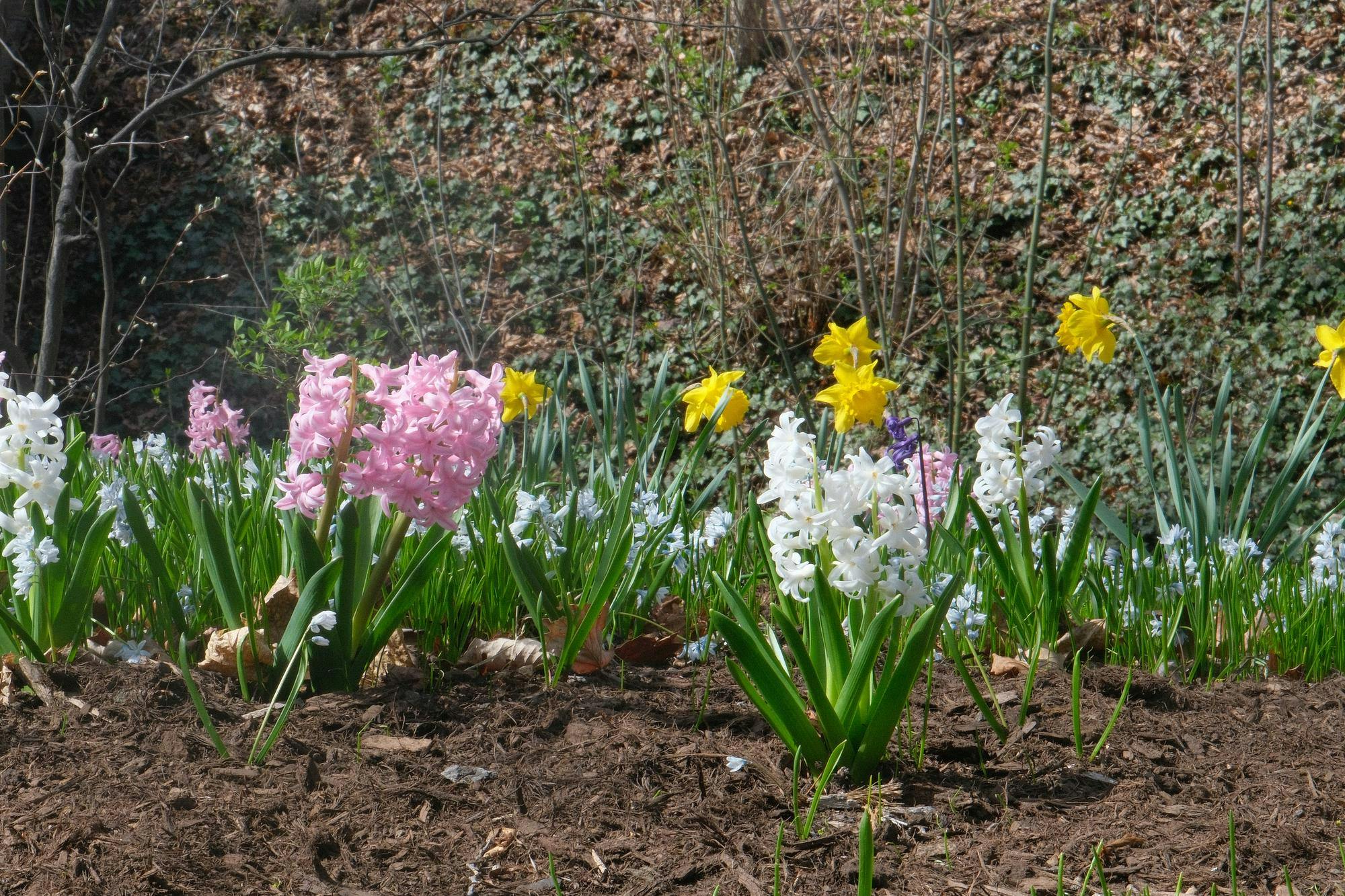 DSCF3372.jpg