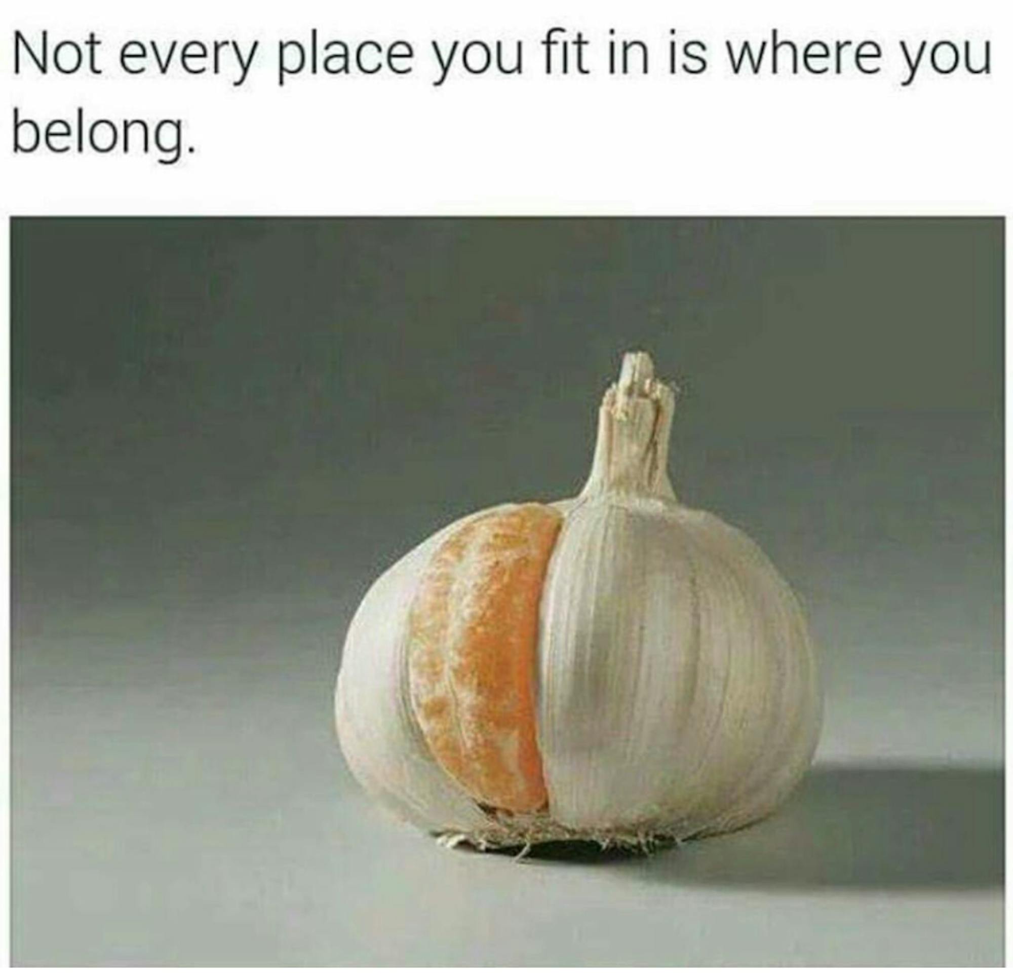 Screen-Shot-2016-03-25-at-4.58.49-PM