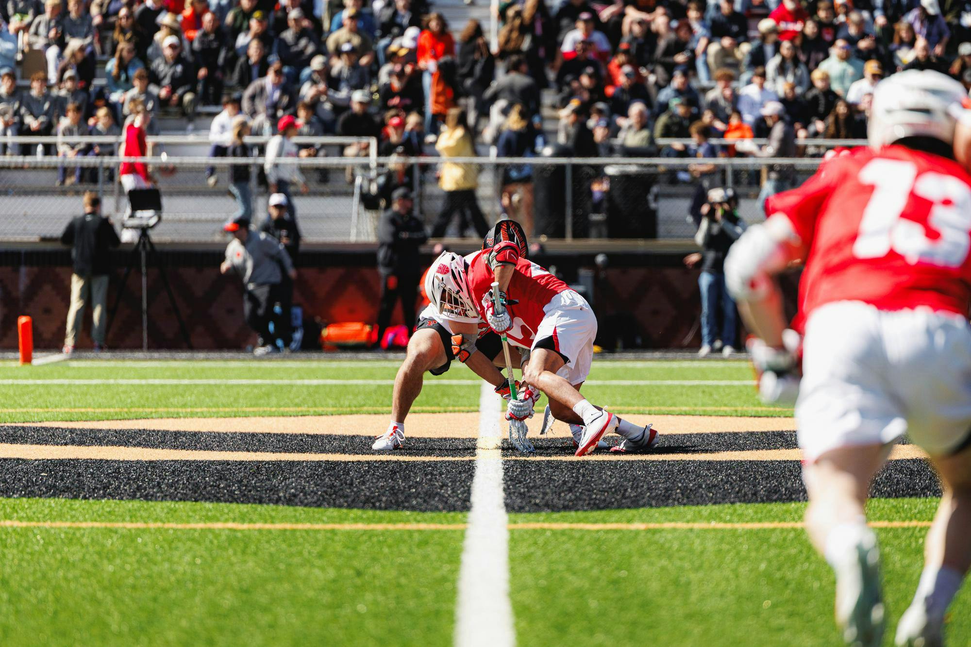 cornell v princeton 2026.1.jpg