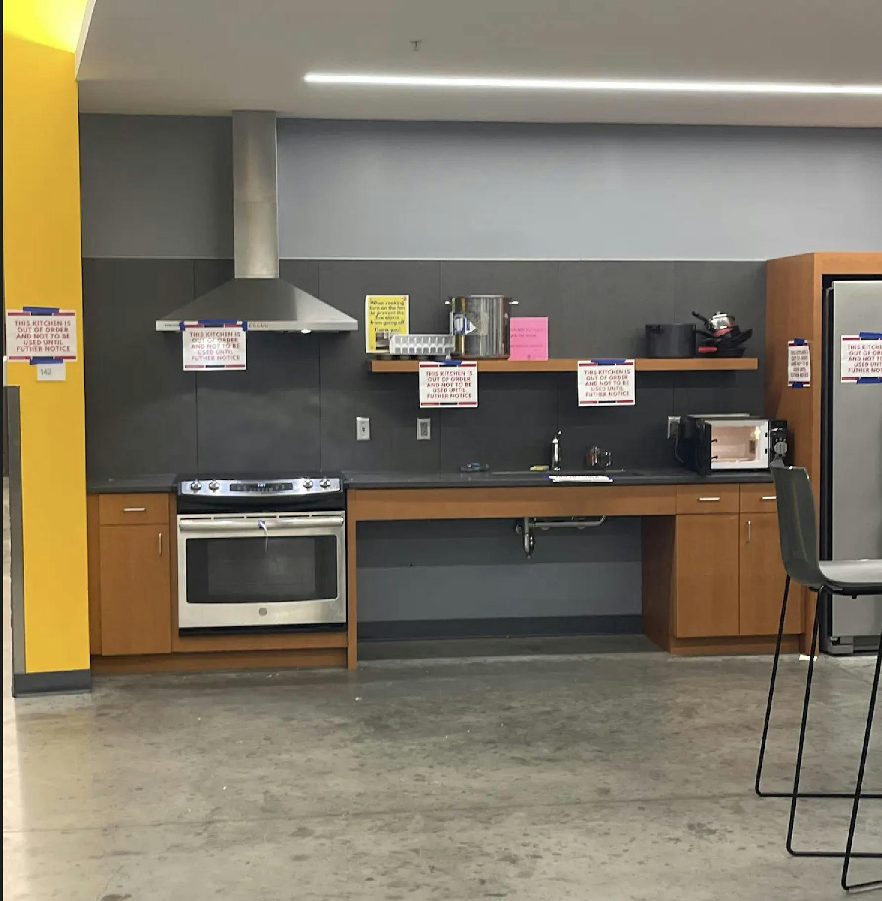 Bear at ganendago .jpg