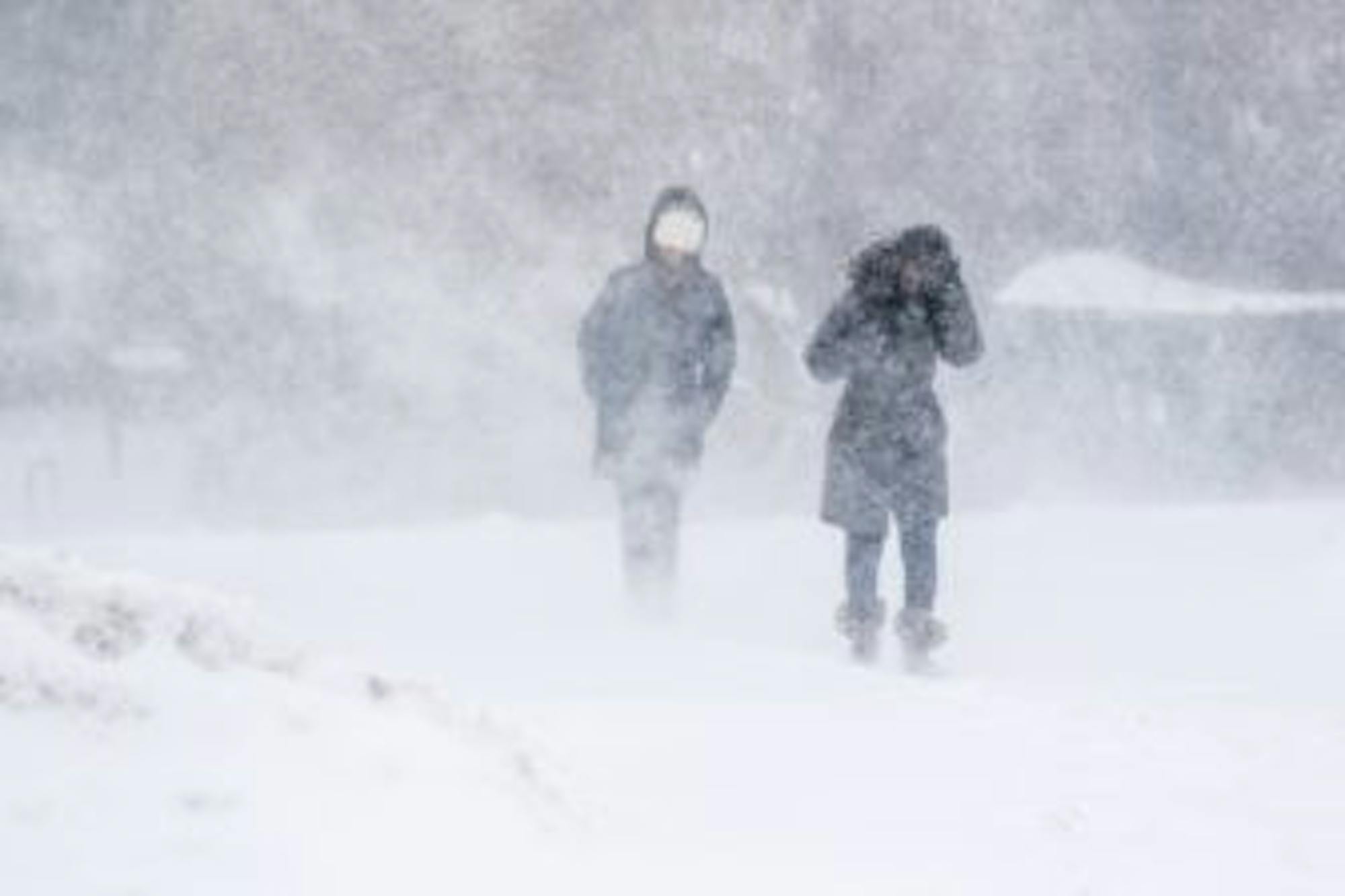 Students struggle to pave way through Libe Slope during Storm Stella on March 14, 2017. ( Michael Wenye Li/Sun Assistant Photography Editor)