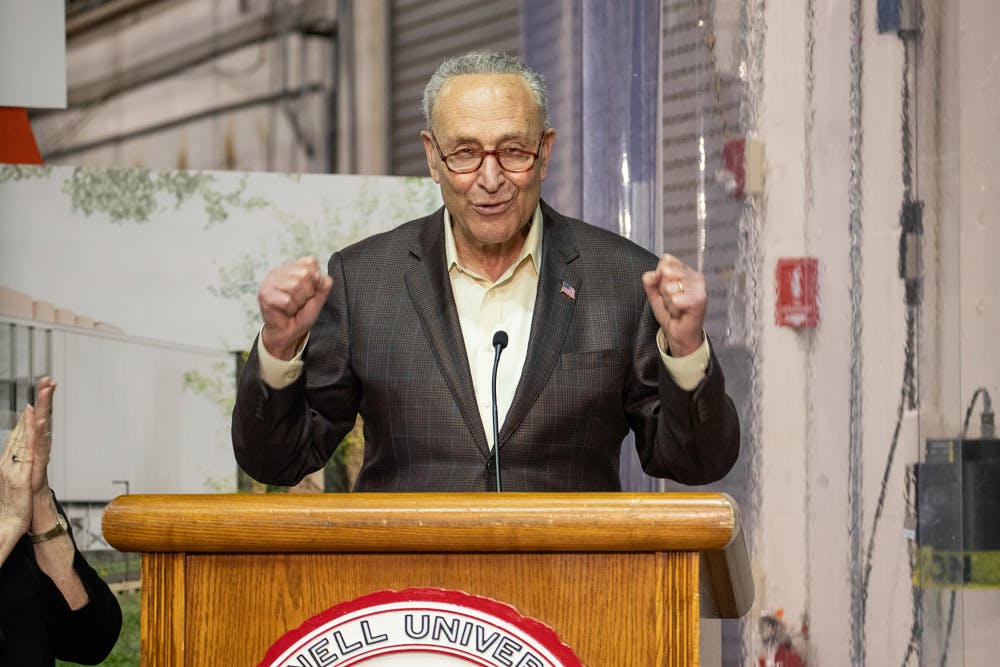 Senator-Schumer-by-Julia-Nagel