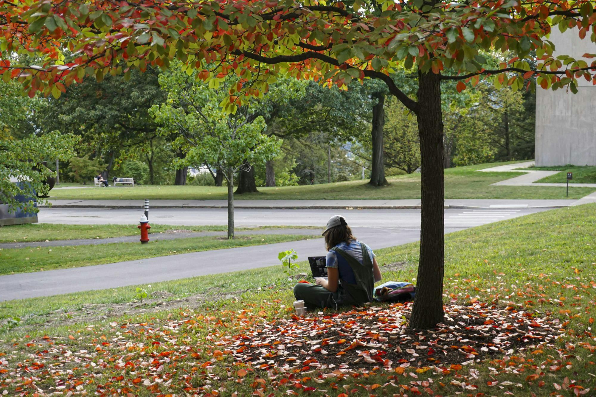 Fall 2025 Candids by Sophia Romanov Imber-3.jpg
