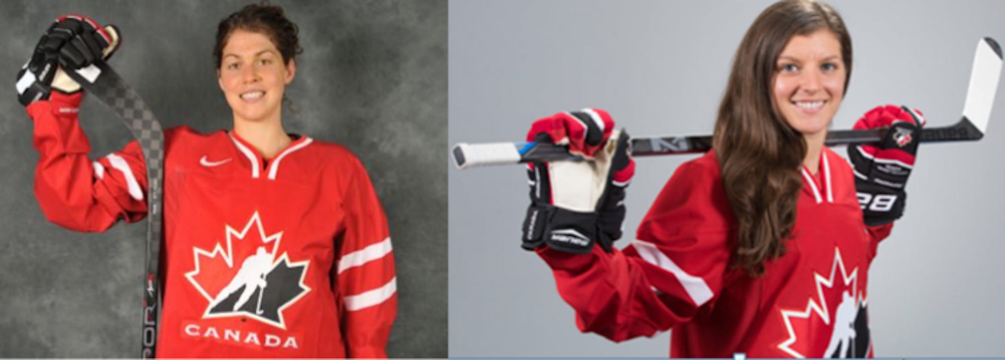 Johnston and Fortino