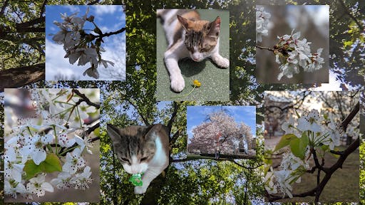 Spreak lifestyle.png