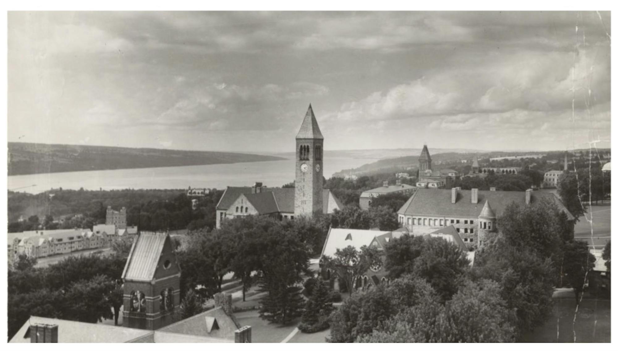 schwarz-1